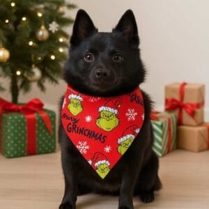 Dog in Grinch bandana by Christmas tree