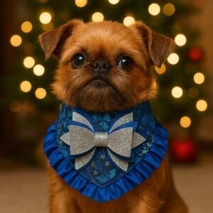Cute dog in festive blue bow.