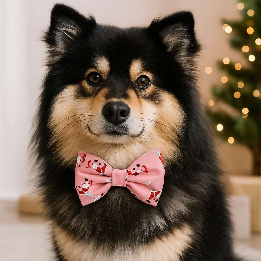 Dog wearing festive pink bow tie, Christmas tree background.
