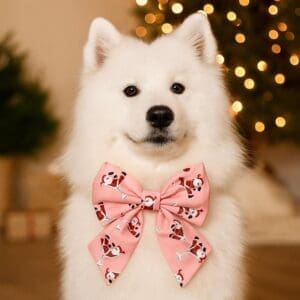 Fluffy white dog with pink bow at Christmas.