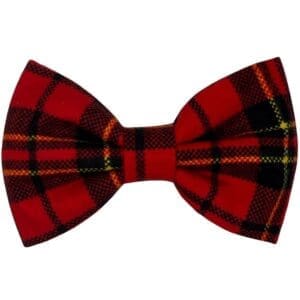 Red plaid bow tie on white background.
