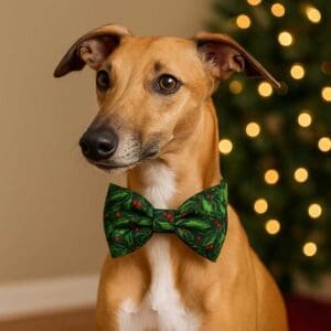 Dog with green bow tie by Christmas lights.