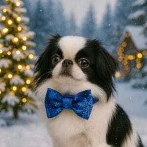 Dog with blue bowtie in snowy scene.