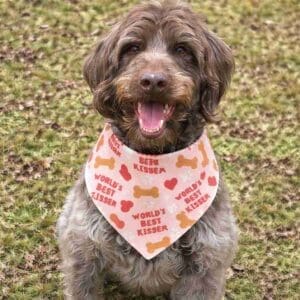 Happy dog with 'World's Best Kisser' bandana.