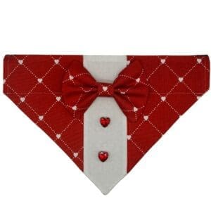 Red diamond bandana with bow tie and hearts.