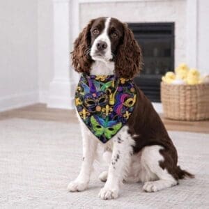 Dog wearing colorful Mardi Gras bandana indoors.
