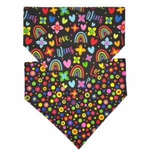 love is love reversible over the collar bandana