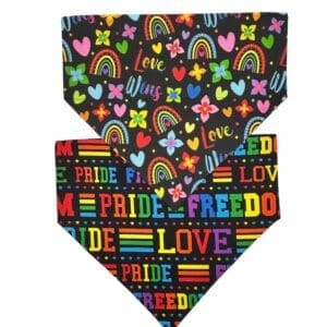 love is love reversible over the collar bandana