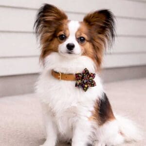 Love Is Love Removable Flower