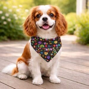 Love Is Love Reversible Over the Collar Bandana
