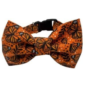 Monarch Flutter Bowtie Adjustable Orange Collar