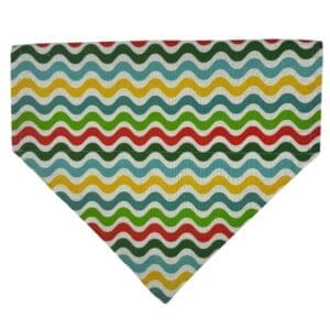 Rainbow Fish Reversible Over the Collar Bandana