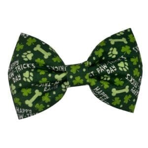 Saint Paw Tricks Bowtie