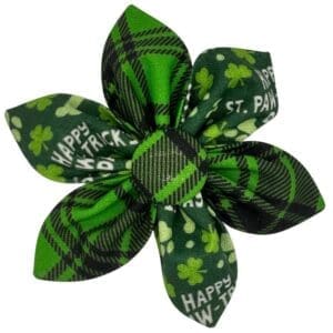 Saint Paw Tricks Removable Flower