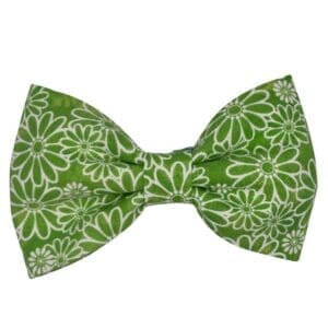 green daisy pet bowtie