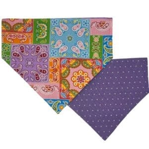 paisley patchwork over the collar bandana