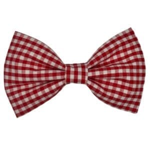 picnic plaid red gingham bowtie