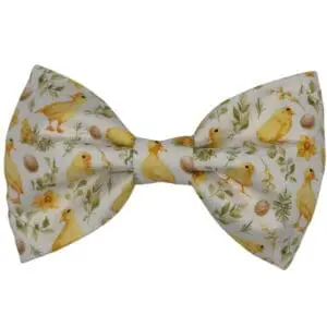 ruffle my feathers bowtie