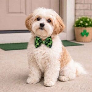 shamrock charm bowtie