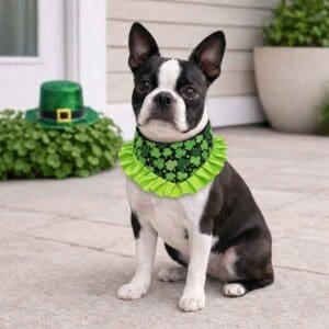 Shamrock Charm Ruffled Velcro Bandana
