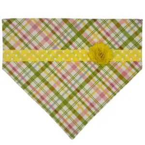 Spring Sunshine Plaid Over the Collar Bandana