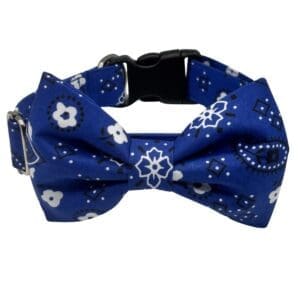 bandana bowtie collar for dogs and cats