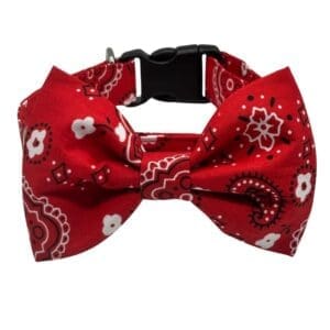 bandana bowtie collar for dogs and cats