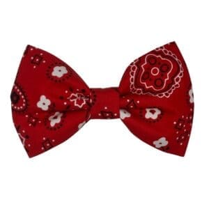 bandana bowtie for pets