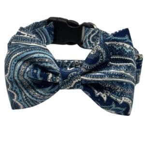 blue paisley bowtie adjustable dog collar