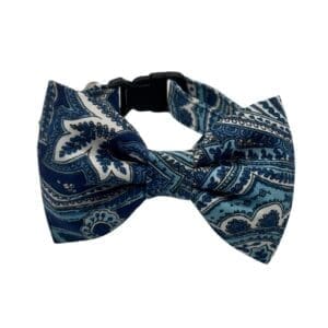 blue paisley bowtie adjustable dog collar