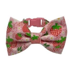 strawberry fields adjustable dog collar