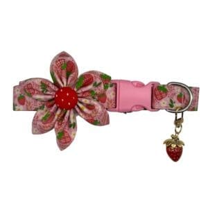 strawberry fields adjustable dog collar