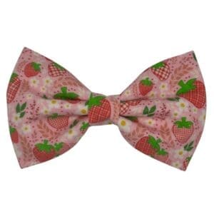 strawberry fields pet bowtie