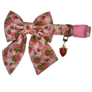 strawberry fields adjustable dog collar