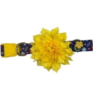 sunny garden adjustable dog collar