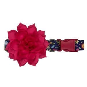 sunny garden adjustable dog collar