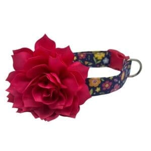 sunny garden adjustable dog collar