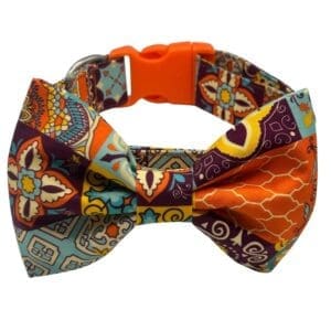 wanderlust boho adjustable dog collar