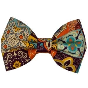 wanderlust boho dog bowtie
