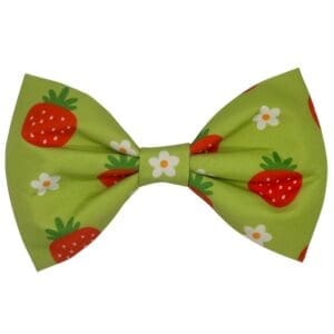 lime strawberry bowtie