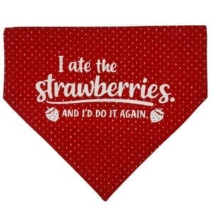 no regrets over the collar bandana