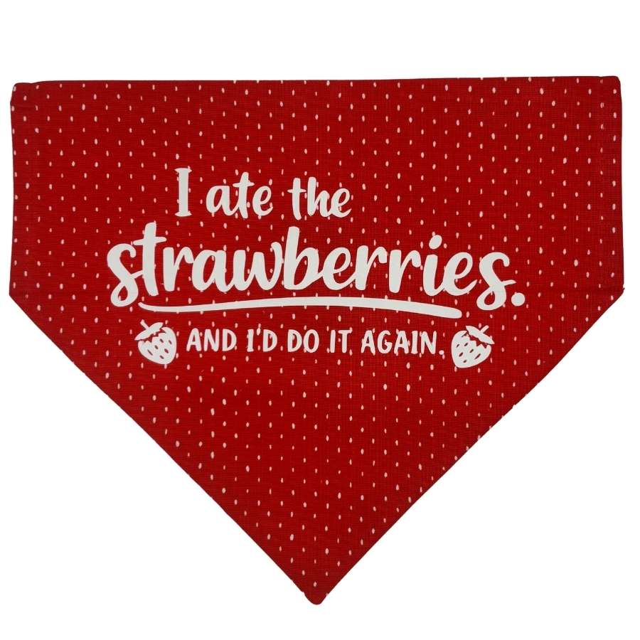 no regrets over the collar bandana