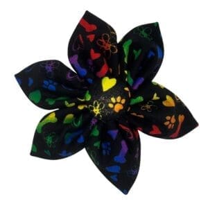 pride pawty removable flower