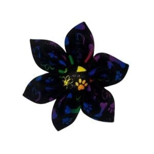 pride pawty removable flower