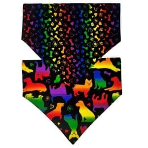 pride pups reversible over the collar bandana