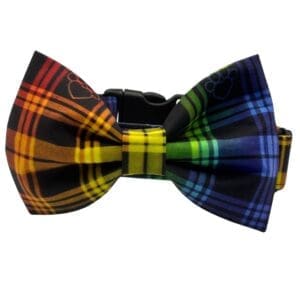 rainbow pride plaid bowtie adjustable dog collar