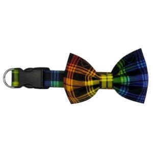 rainbow pride plaid bowtie adjustable dog collar