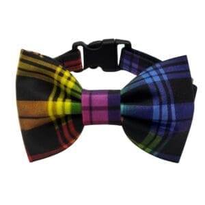 rainbow pride plaid bowtie adjustable dog collar