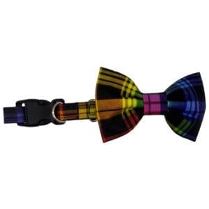rainbow pride plaid bowtie adjustable dog collar