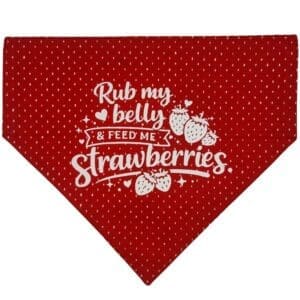 strawberries please over the collar bandana